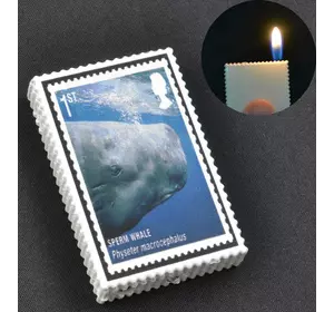 Запальничка кишенькова марки (звичайне полум'я) №2563