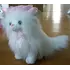 М'яка іграшка Кіт пухнастий сидить 25 см №8350-25